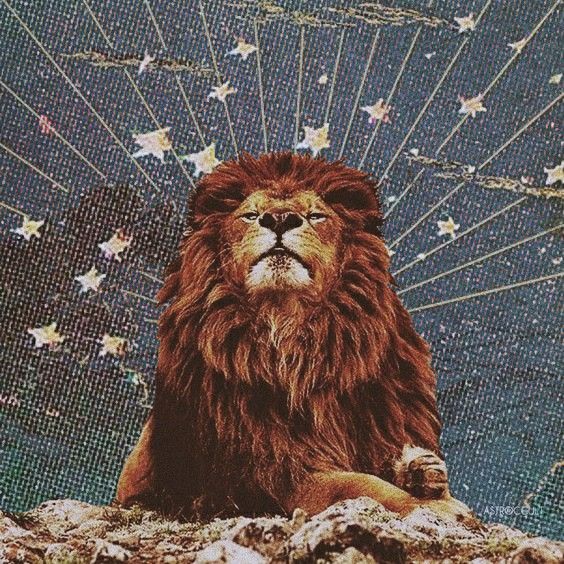 sol en leo